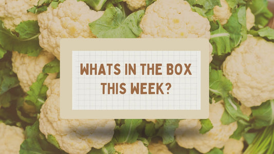 What's in the 7th Dec boxes?