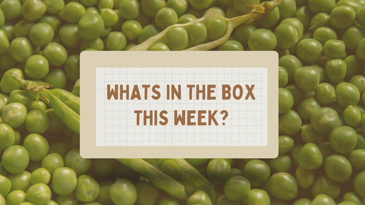 What's in the 21st December boxes?