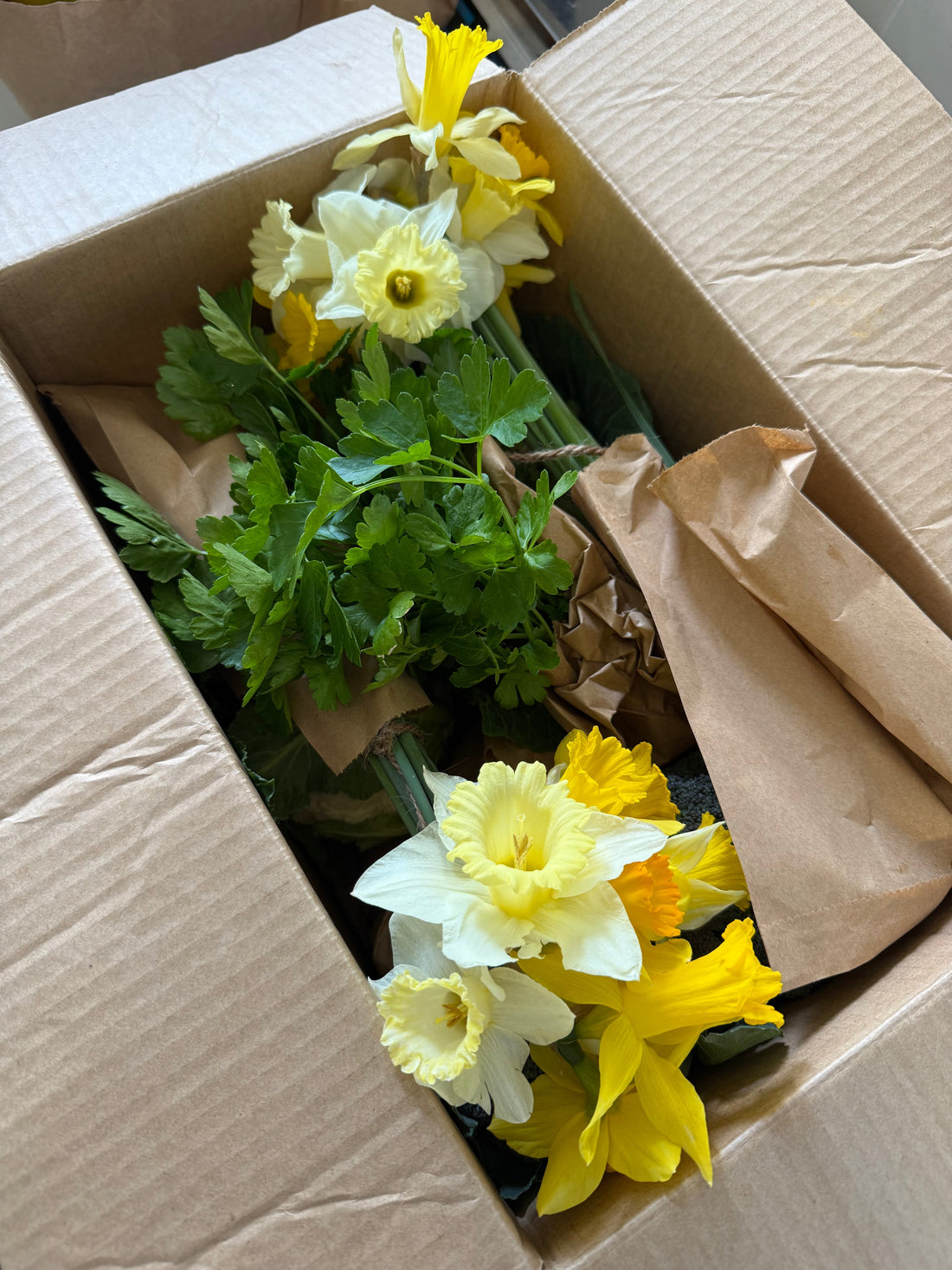 What’s in the 17th Sept boxes?