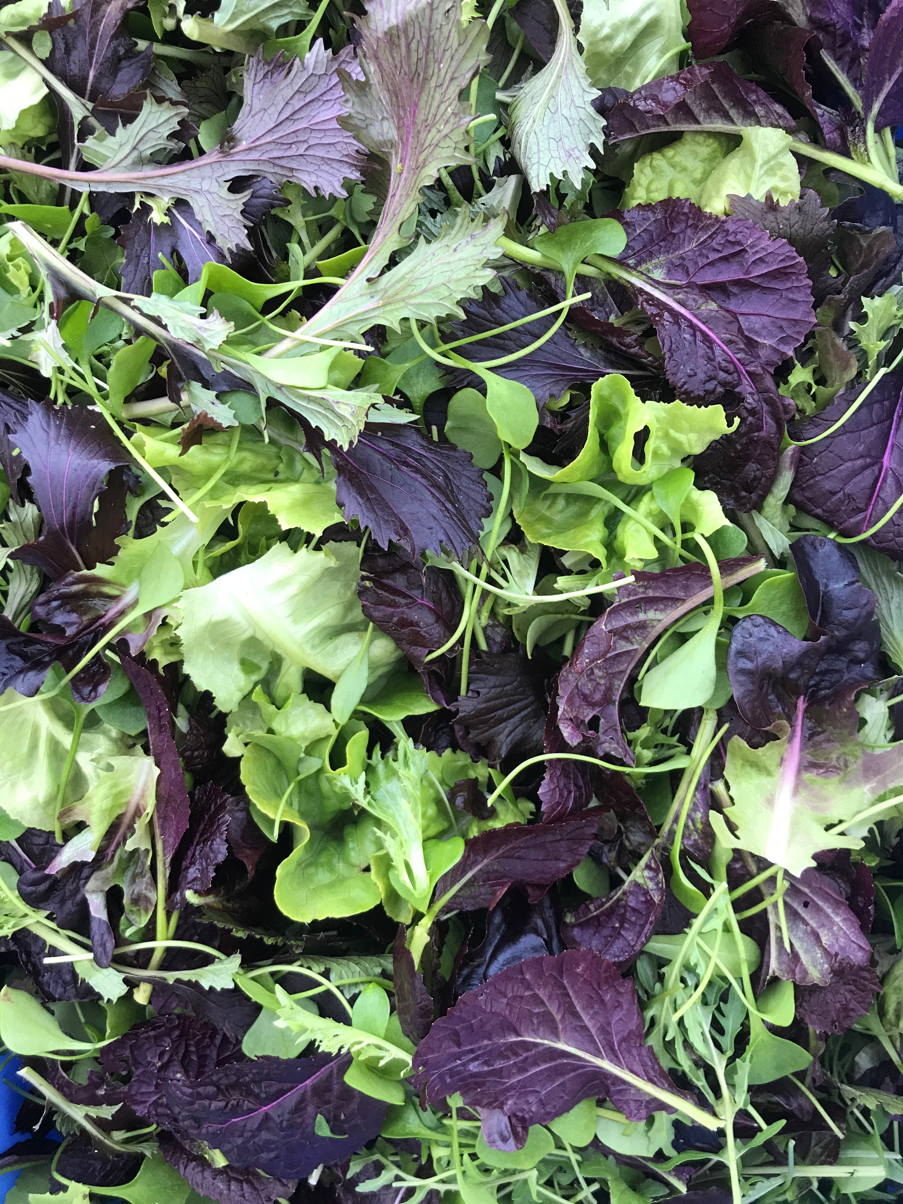 What's in the 23rd October boxes? Little Farms NZ