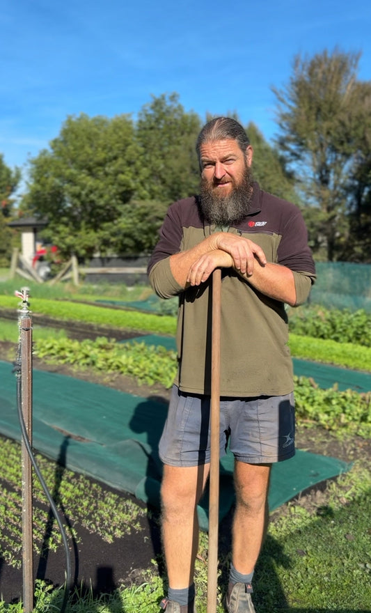 Rebel Gardens