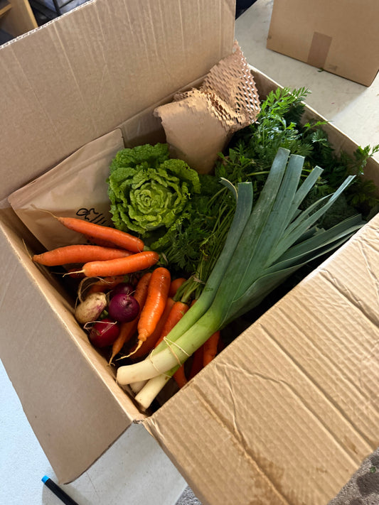 16th July boxes