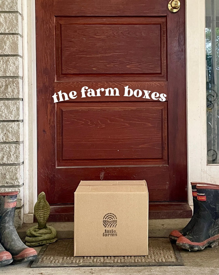 Box Farm Rickinghall Wairarapa Grown Organic Farm Boxes delivered to your door – Little Farms NZ