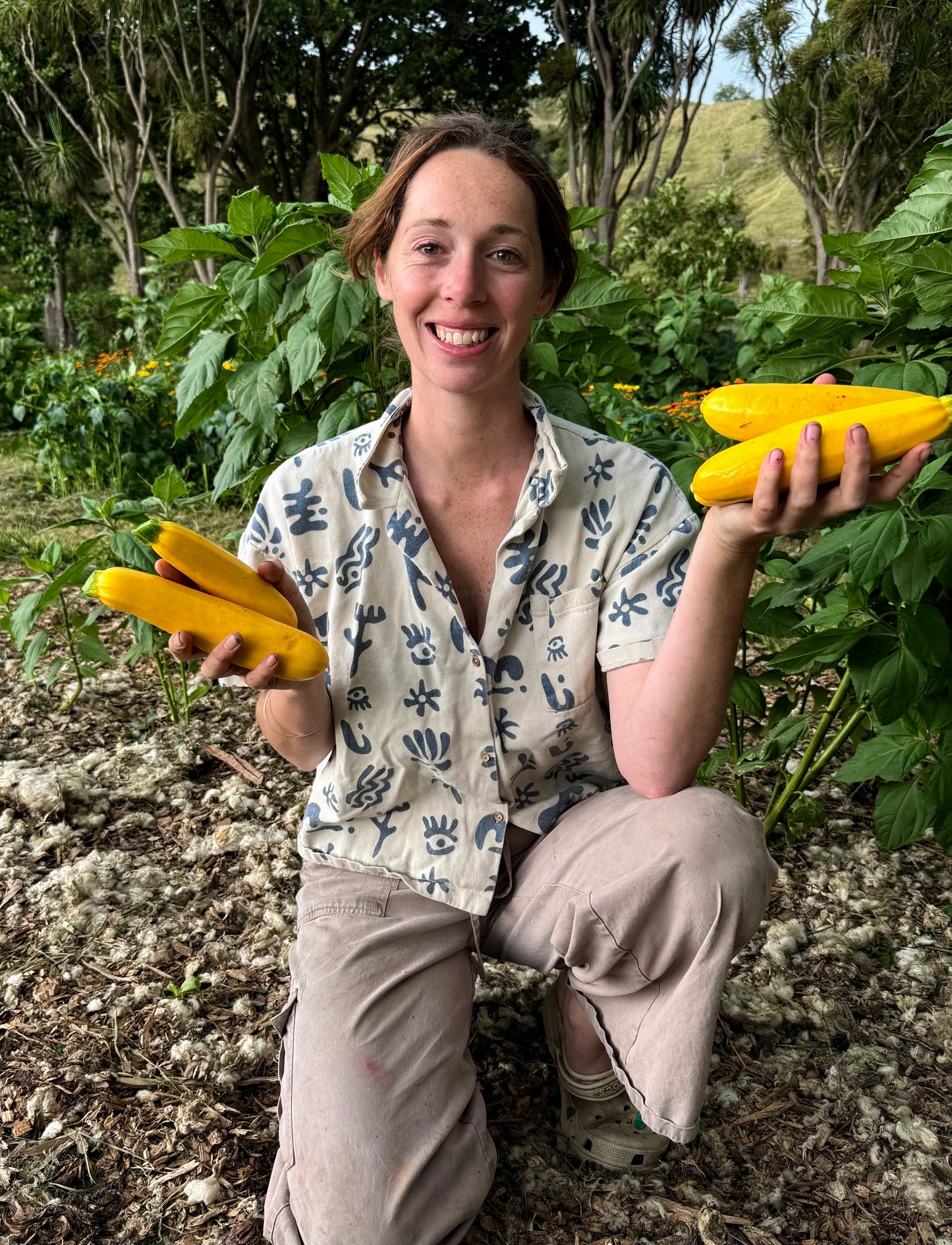 Organic yellow zucchini x 3