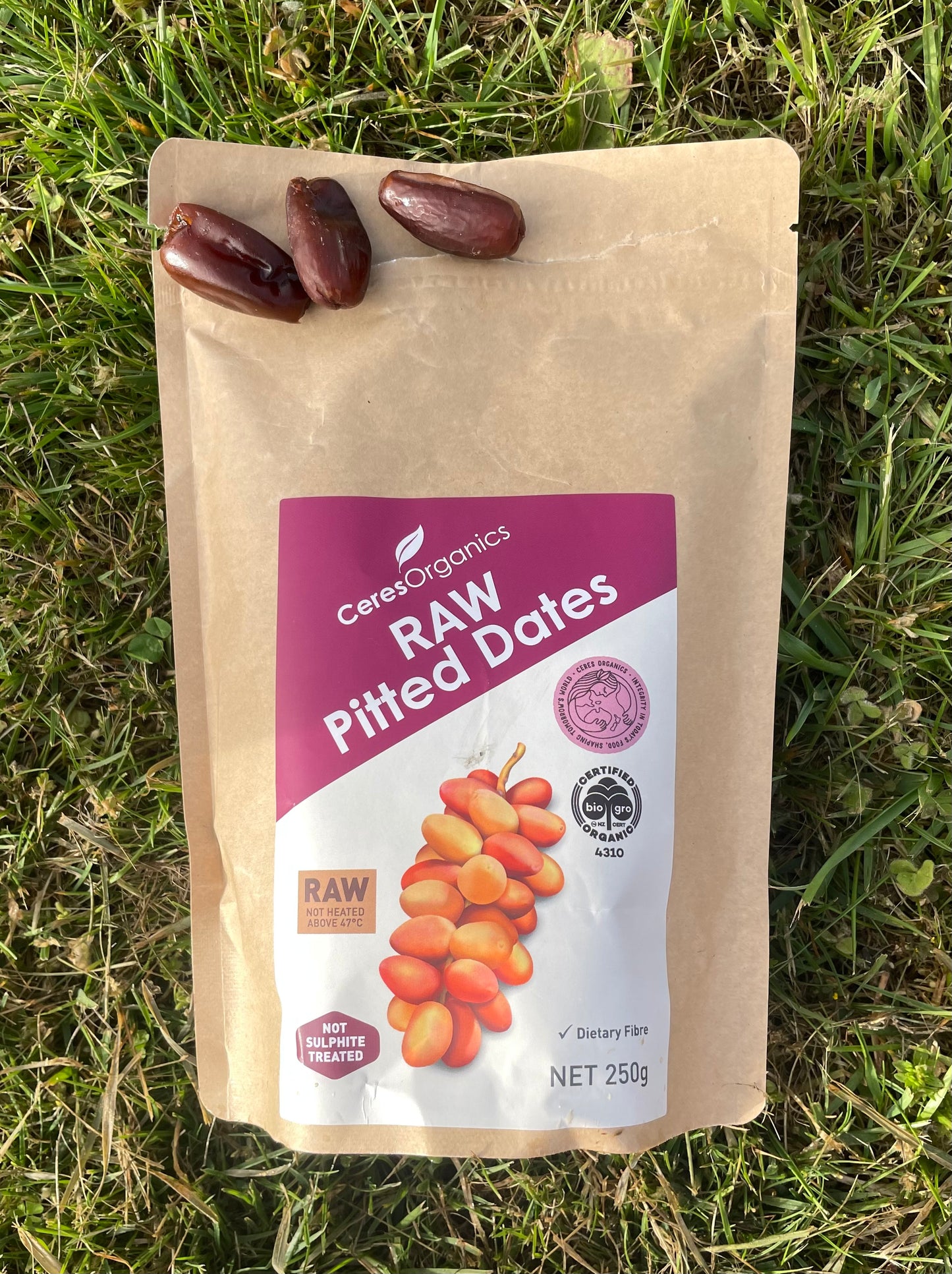 Ceres organic raw pitted dates
