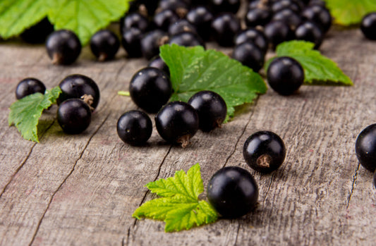 Organic black currants