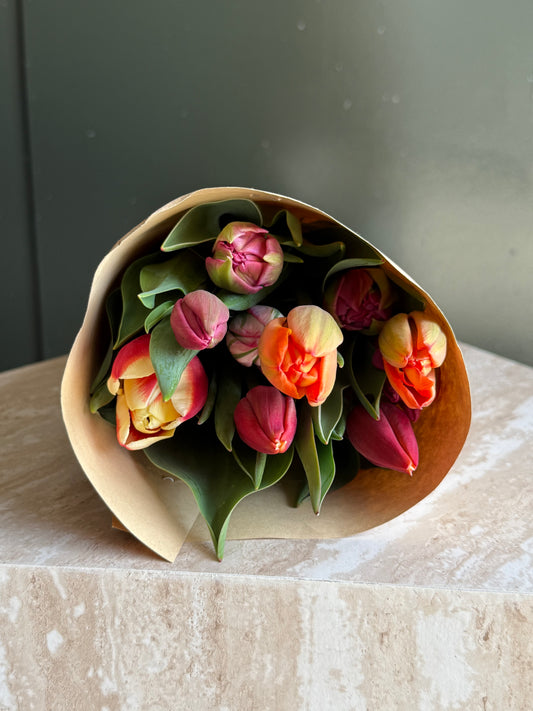 Locally grown Tulips x 10 mixed