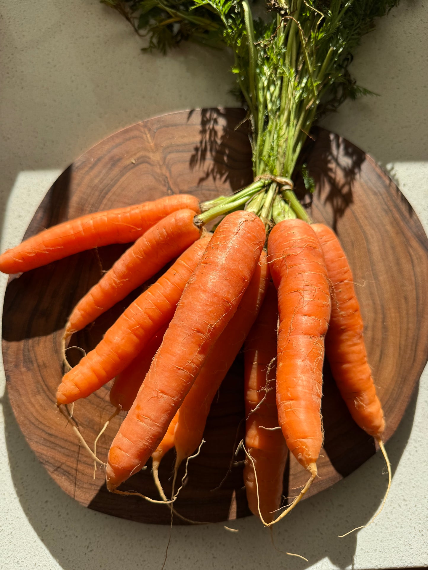 Organic carrots