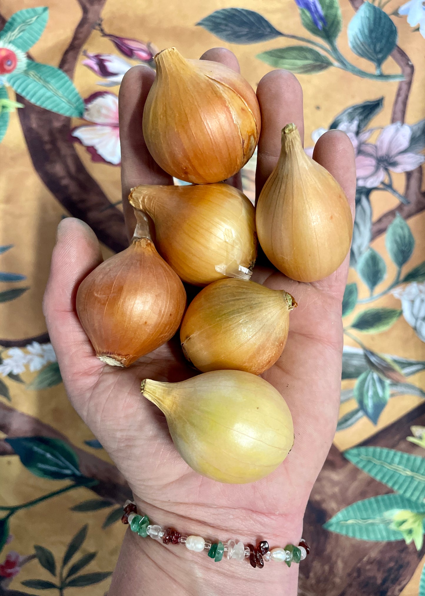 Organic pickling onions (1kg)