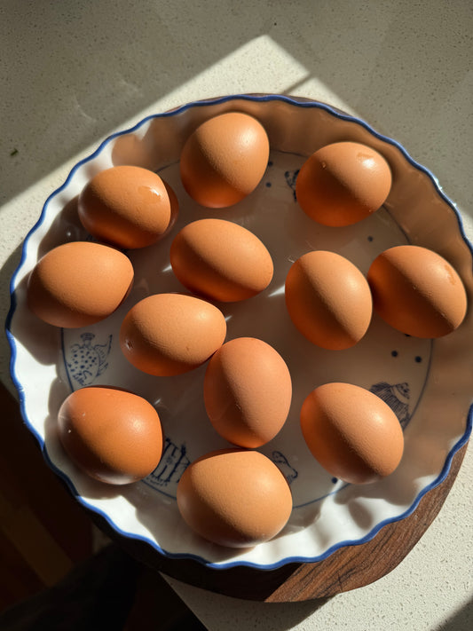 Regenerative Free Range Eggs - Pasture Pride (dozen)