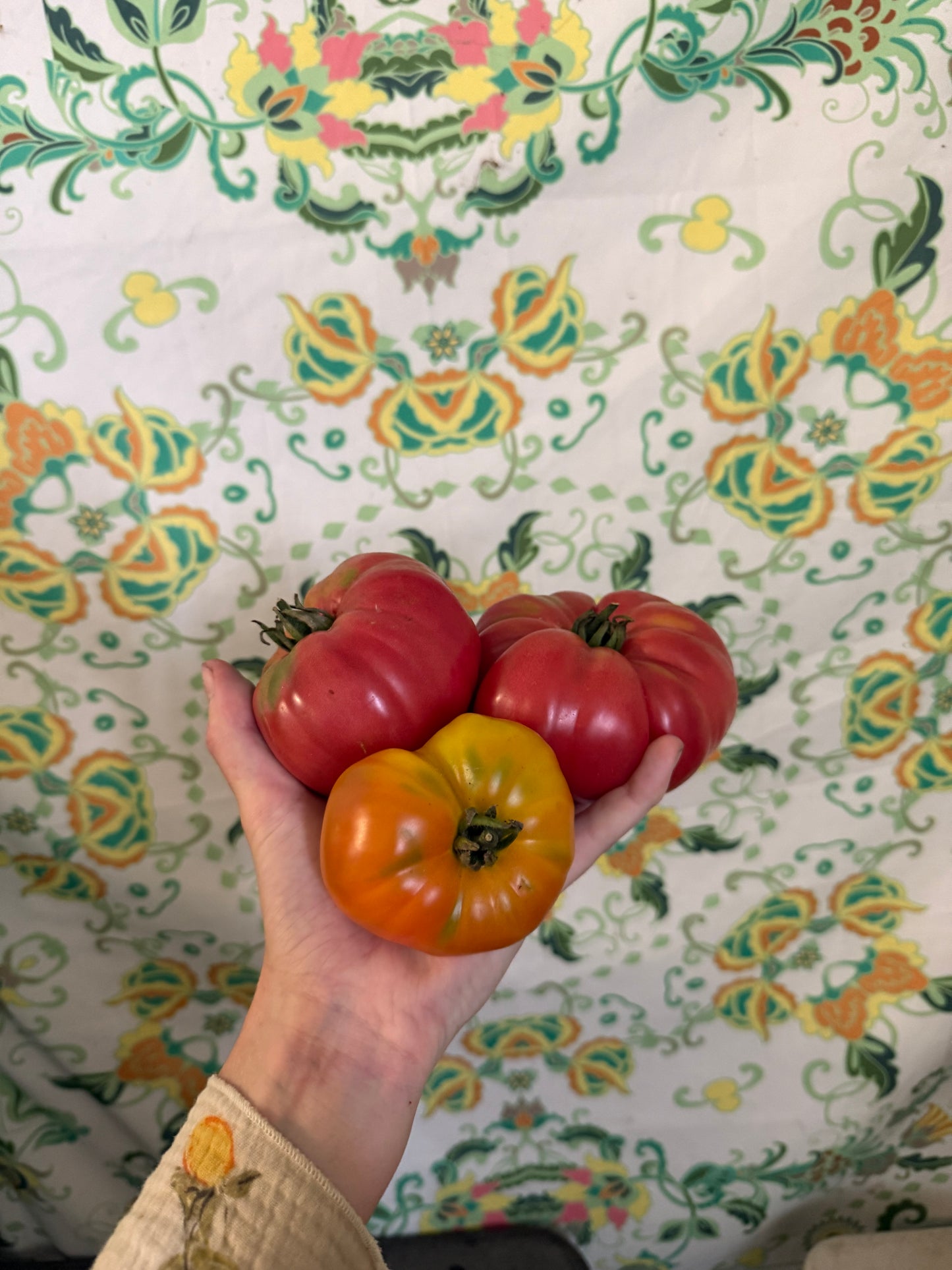 Organic heirloom tomatoes (1kg)