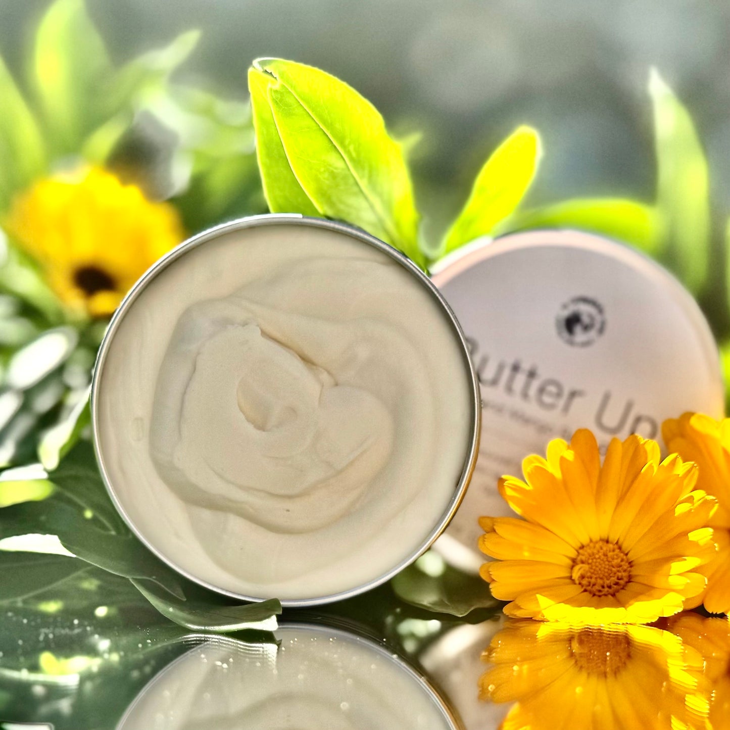 Tallow & mango body butter (no fragrance)