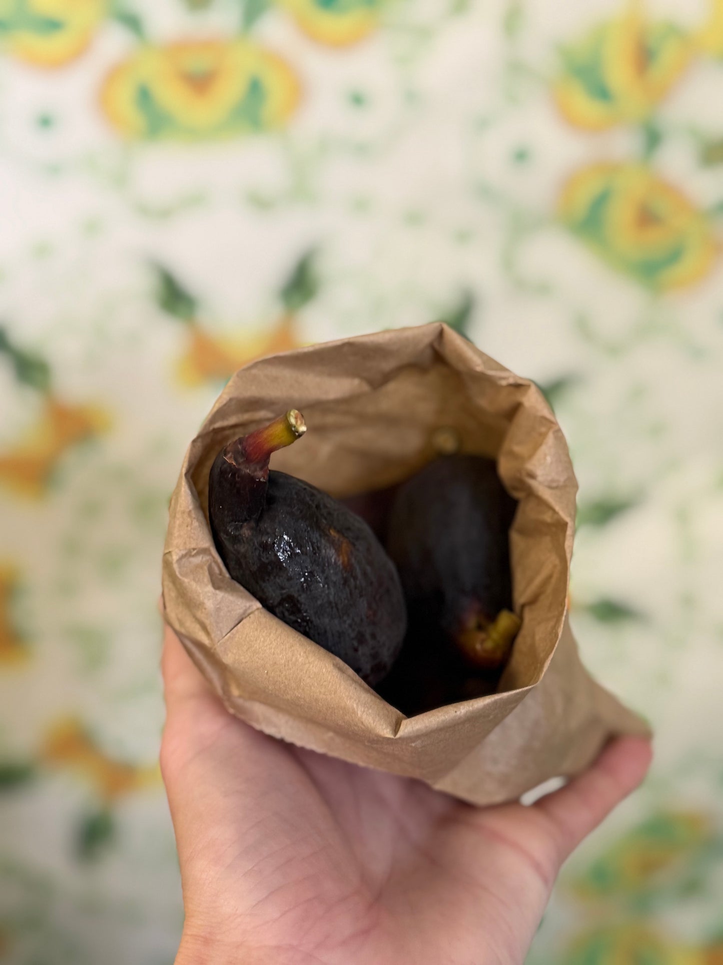 Organic figs (small bag)