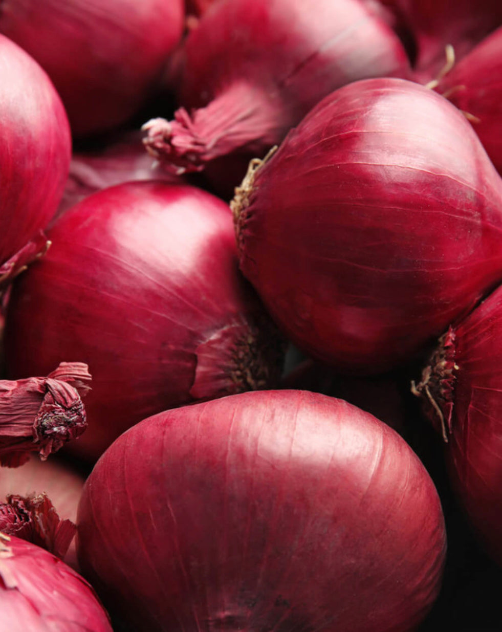 Organic red onions (1kg)