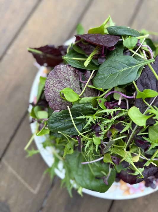 The Good Salad (winter edition)