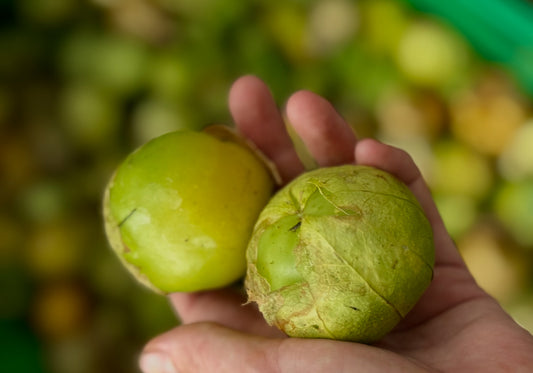 Organic Tomatillos 1kg
