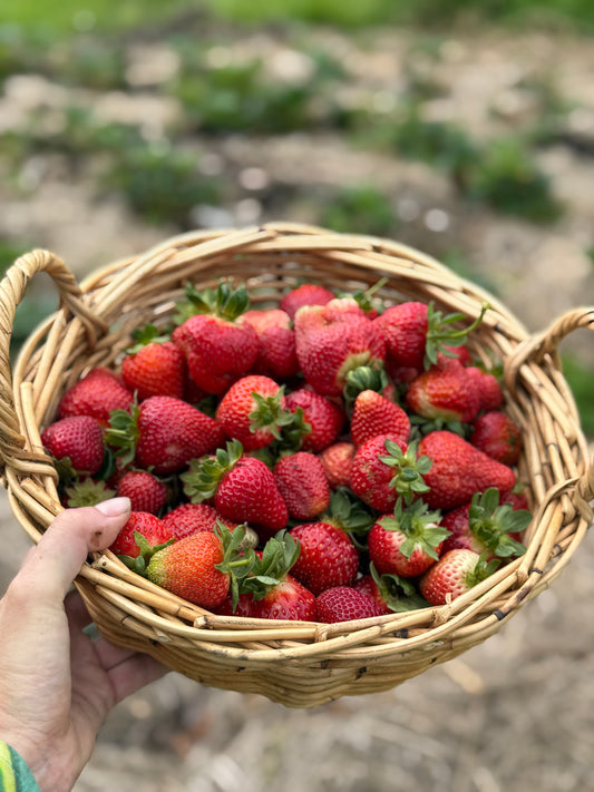 Organic strawberries (250g)