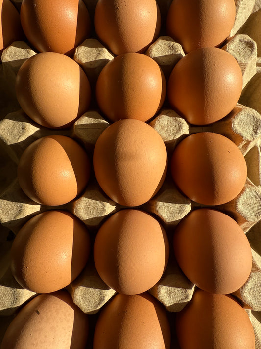 Regenerative Free Range Eggs - Pasture Pride (tray of 20)