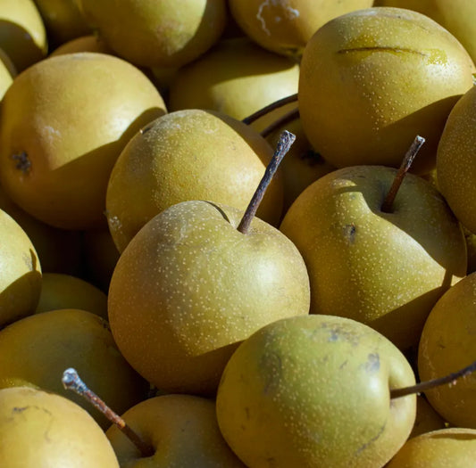 Organic Nashi Pears 1kg