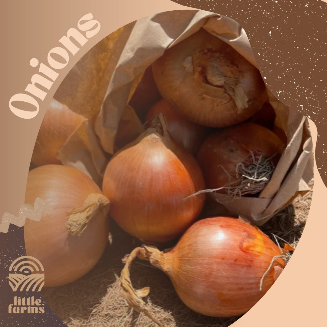 Fresh Organic Brown Onions