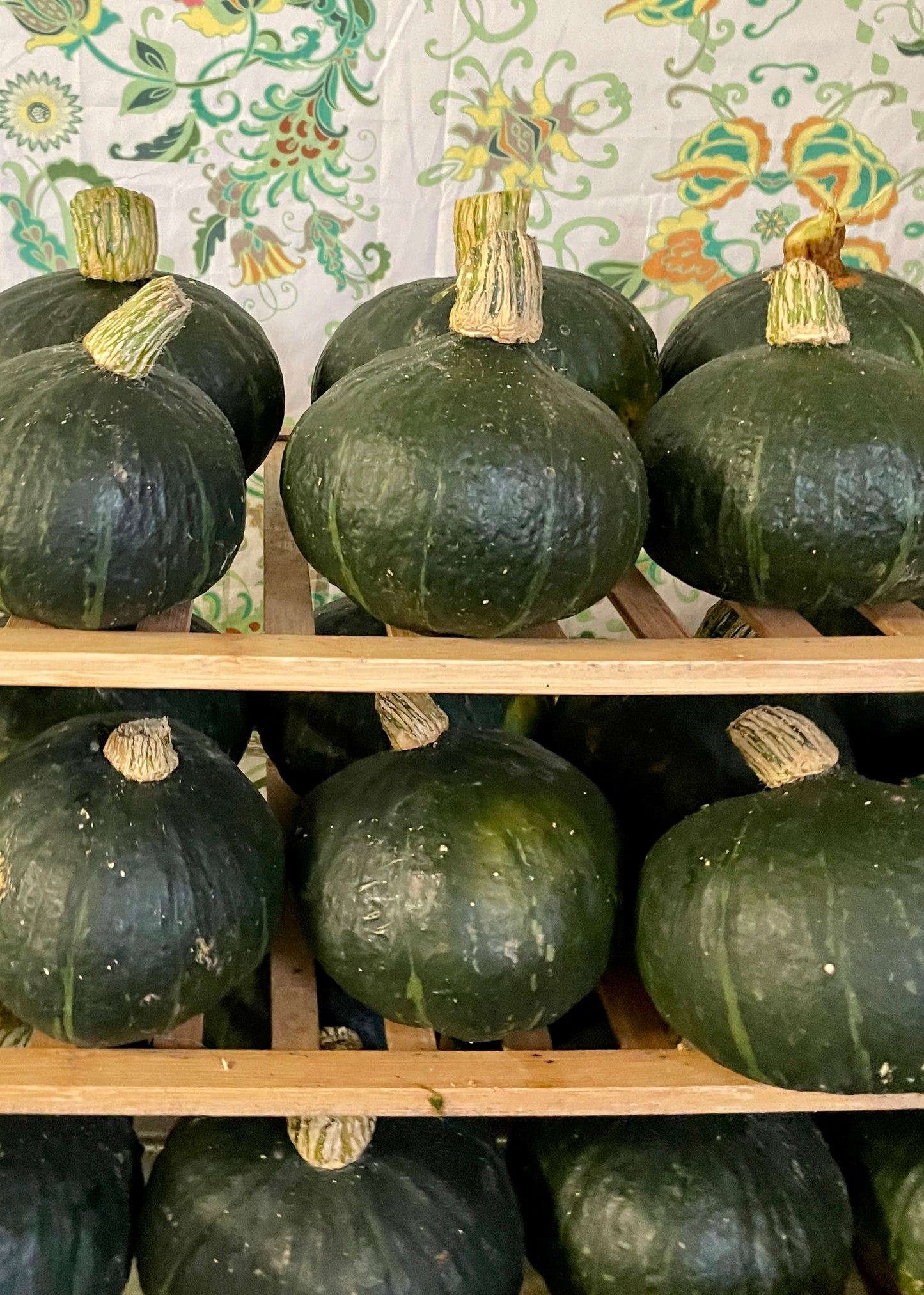 Organic buttercup squash (pumpkin) quarter