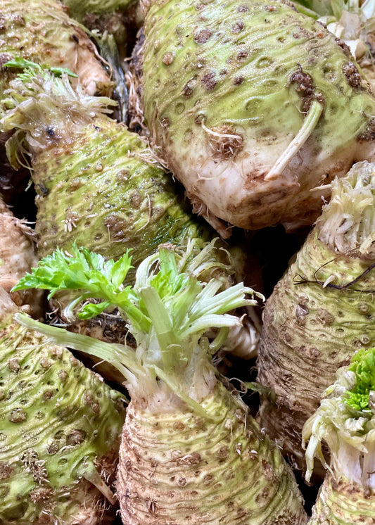 Organic celeriac