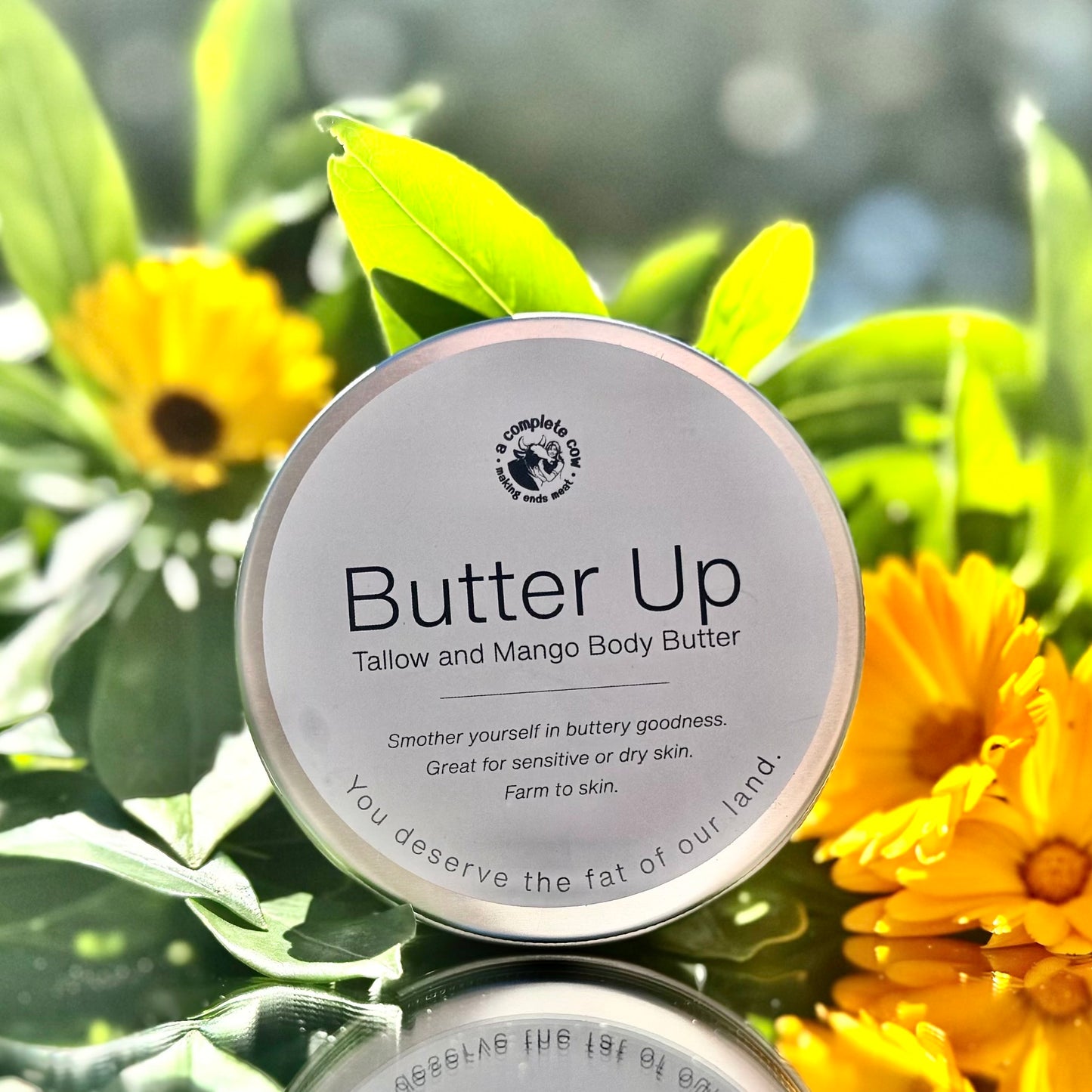 Tallow & mango body butter (no fragrance)
