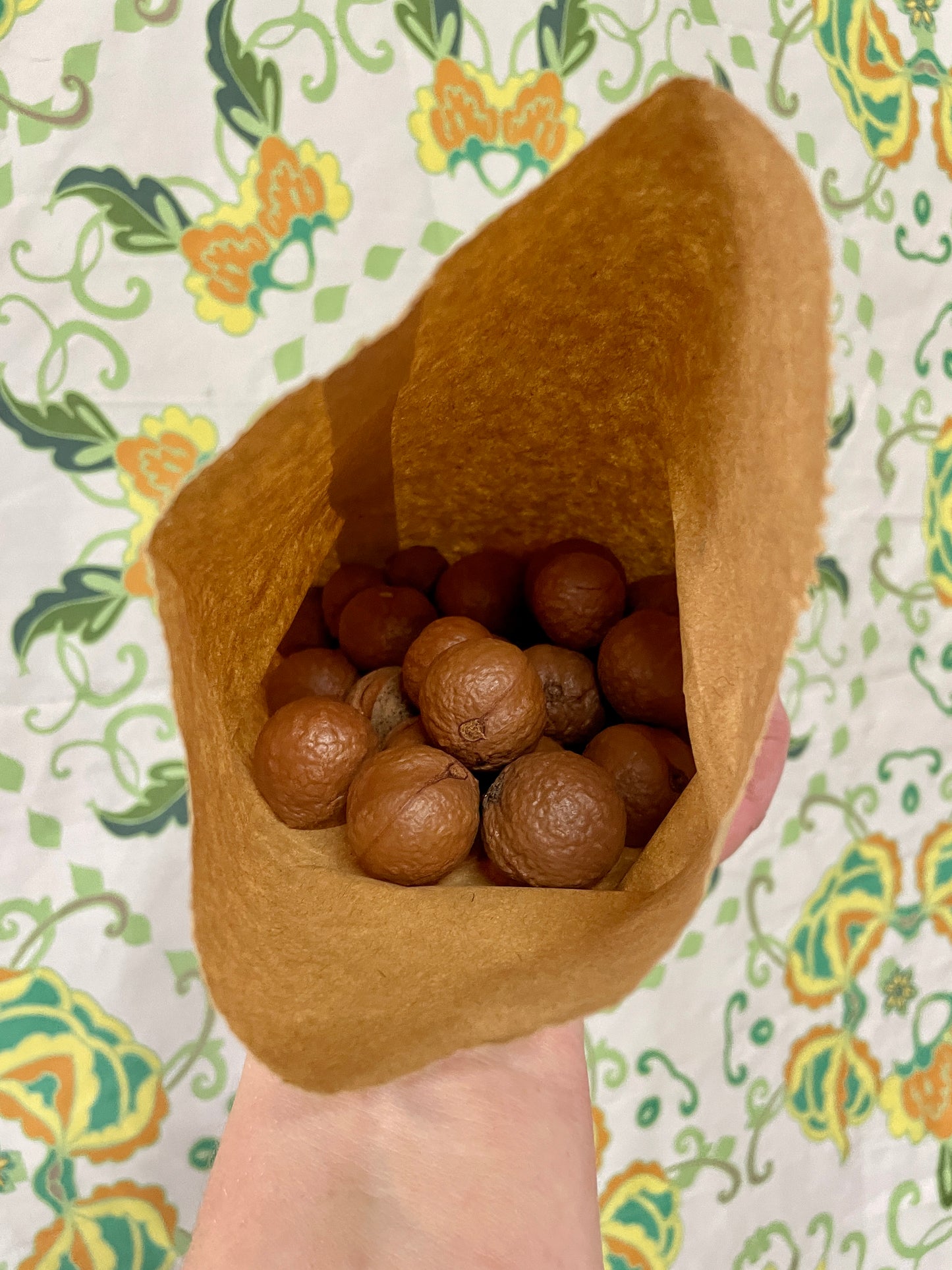 Spray Free macadamia nuts (250g)
