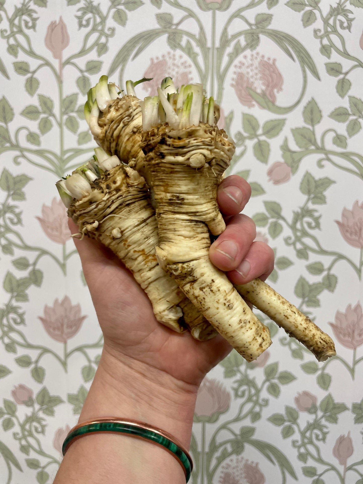 Spray free horseradish