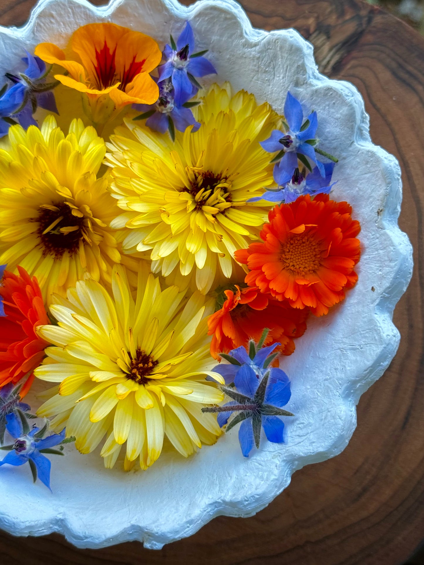 Edible flowers