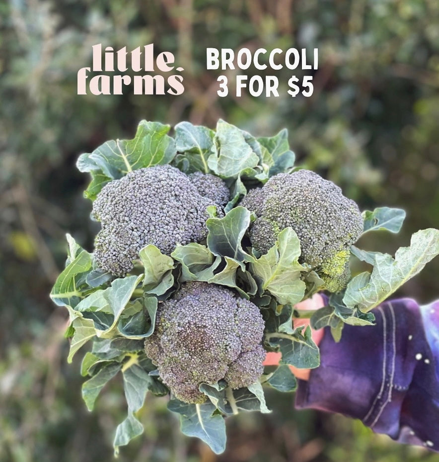 Organic Broccoli (3 small)