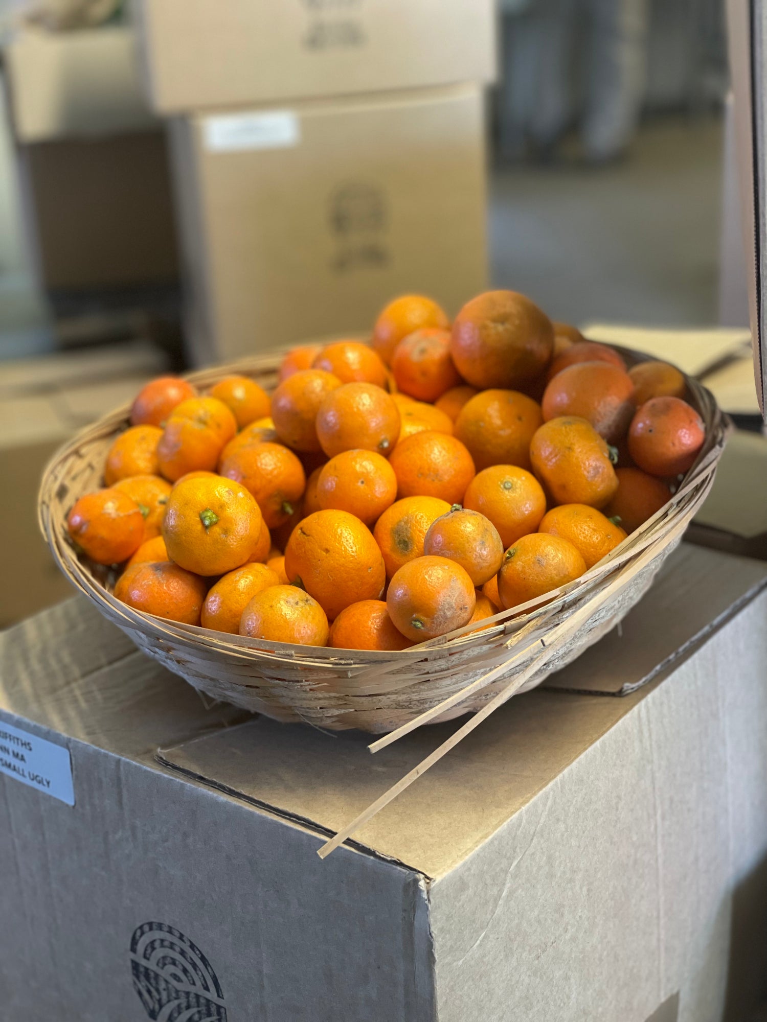 organic vegetables / little farms