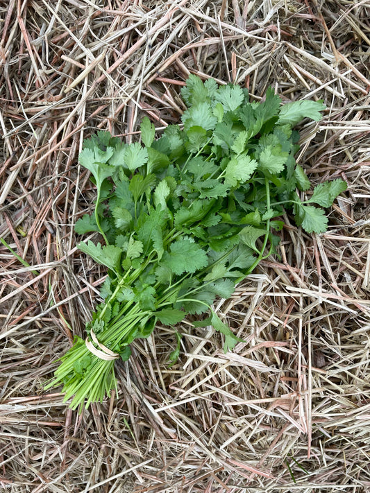 Organic parsley