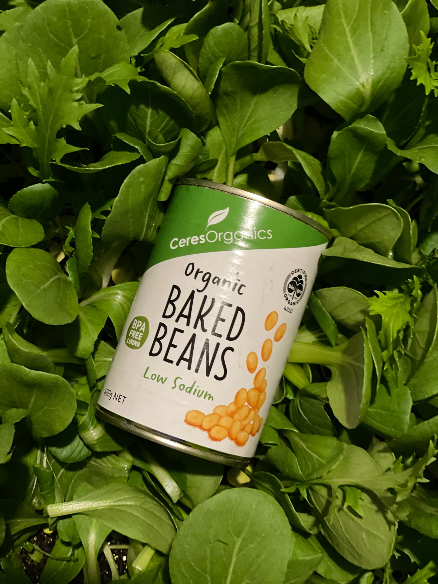 Ceres organic baked beans