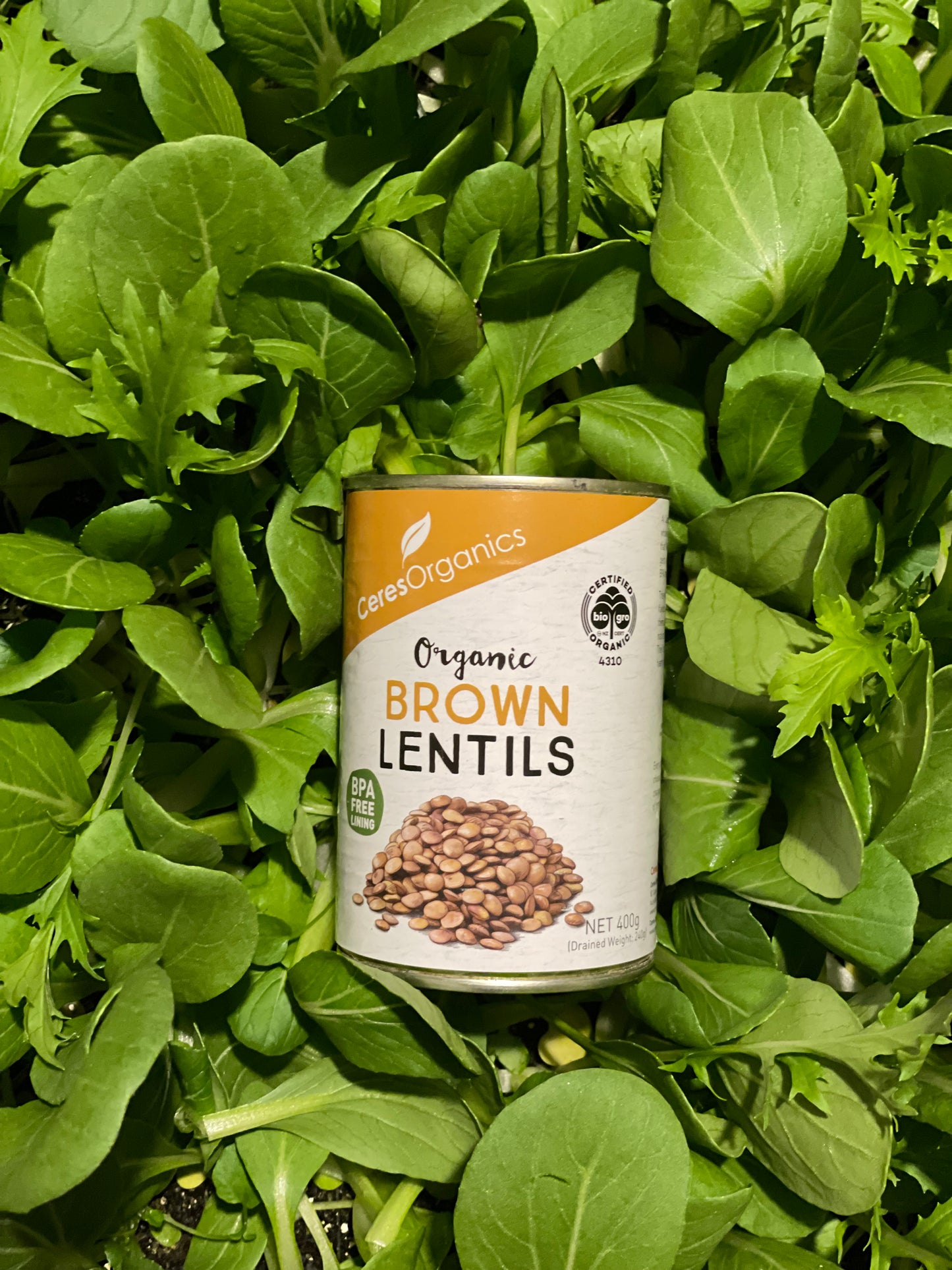 Ceres Organic Brown Lentils (400g)