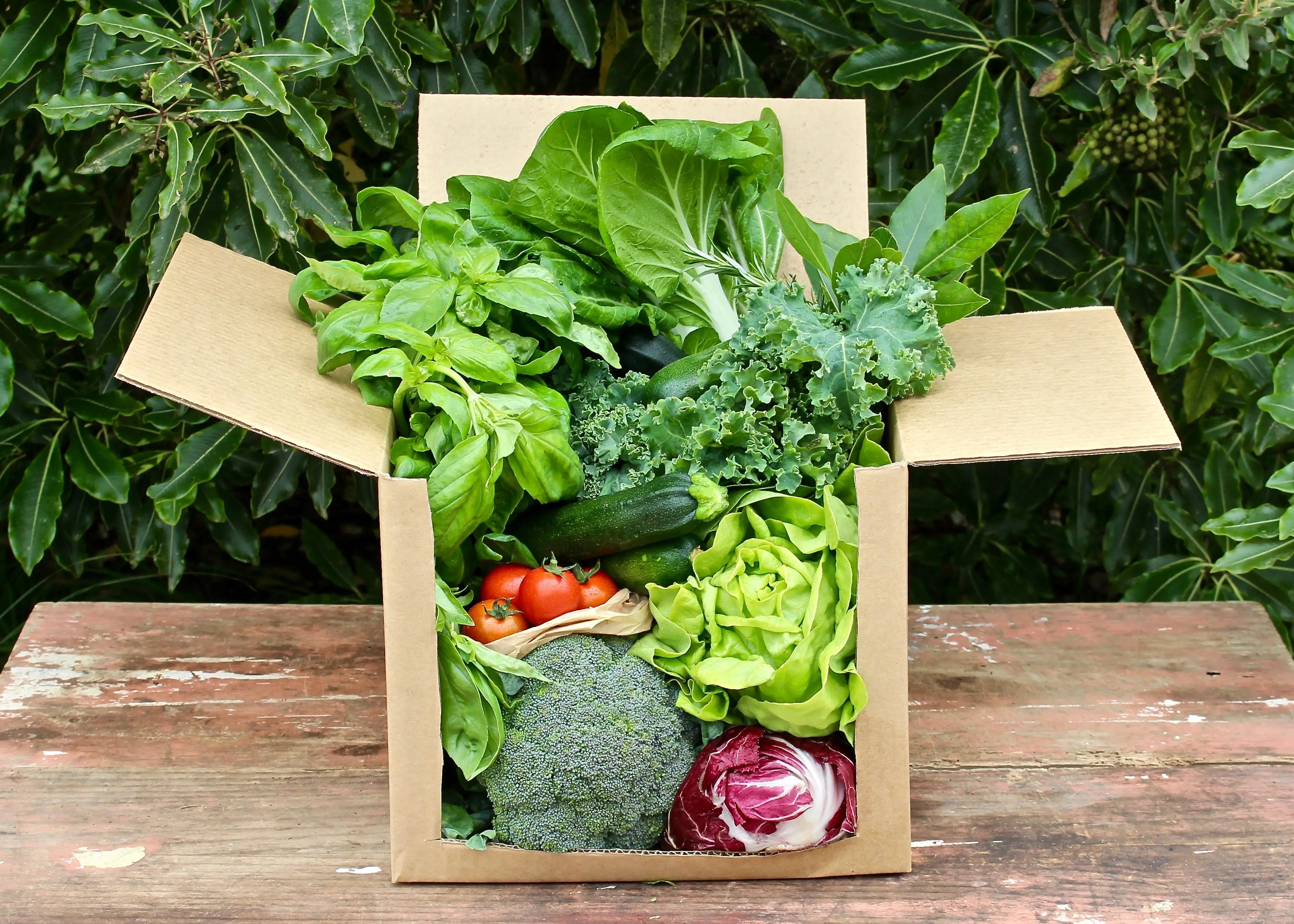 Farm Box Ridges Wairarapa Grown Organic Farm Boxes delivered to your door – Little Farms NZ