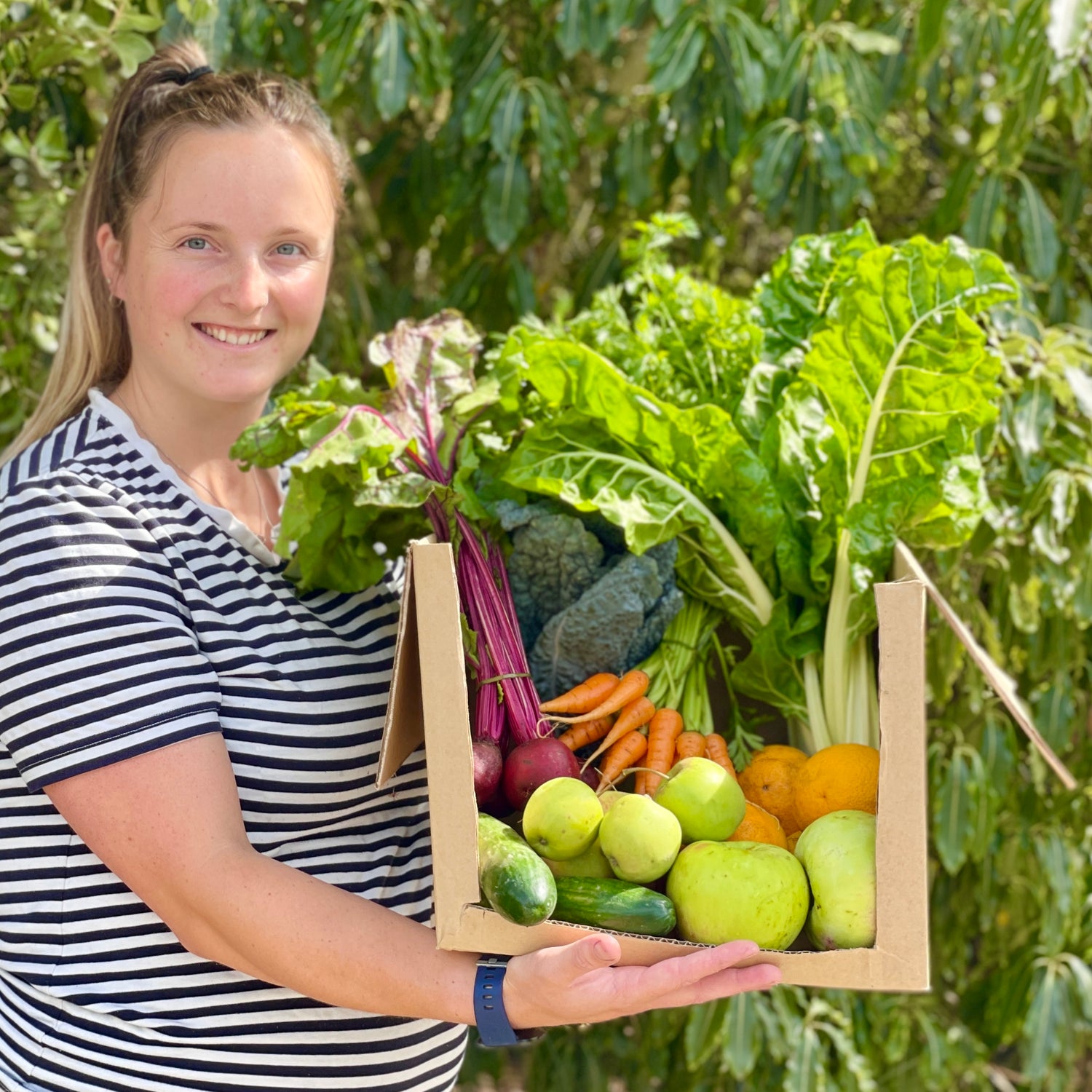 organic vegetables / little farms