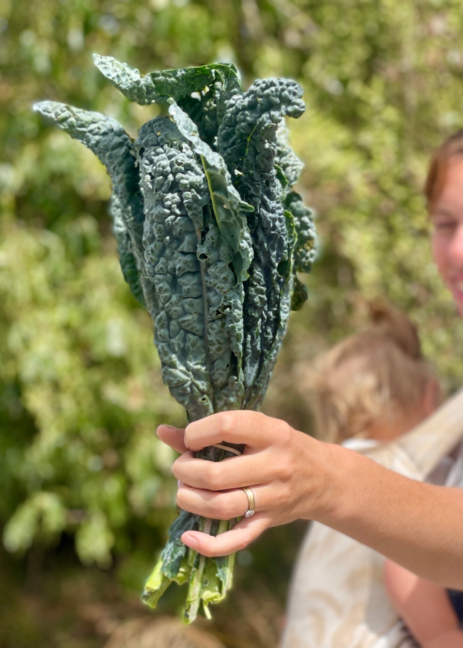 organic vegetables / little farms