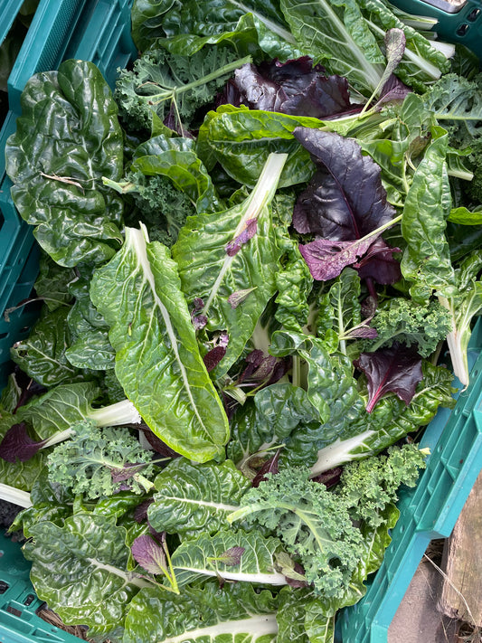 organic vegetables / little farms