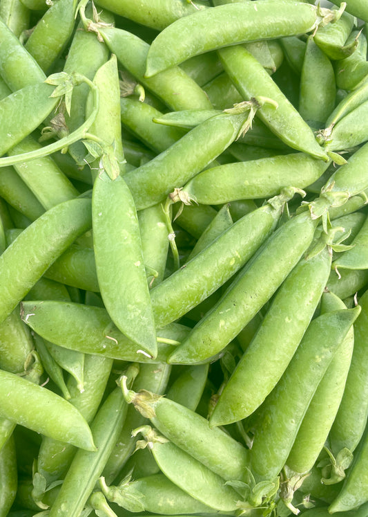 organic vegetables / little farms