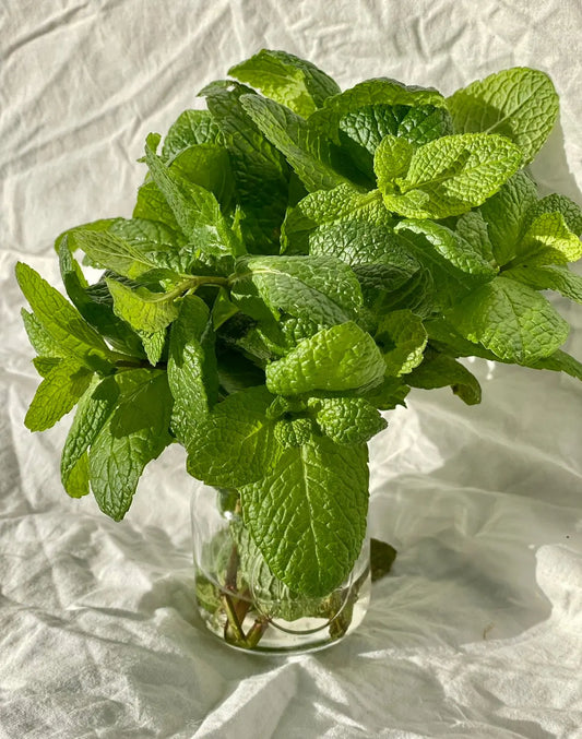 Organic Mint