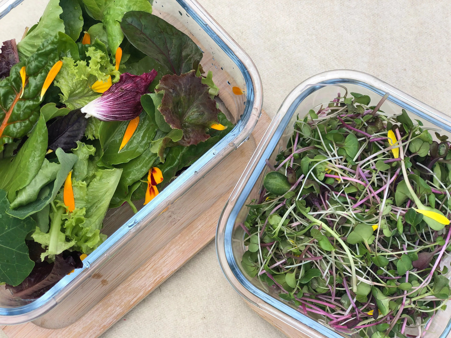 Salad Lovers - Salad + Micros – Little Farms NZ
