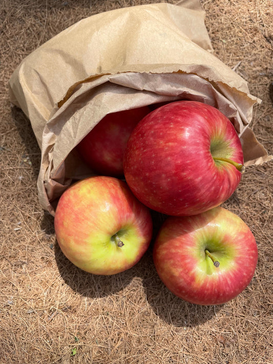 Organic Apples 1kg
