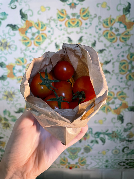 Organic cherry tomatoes (250g)