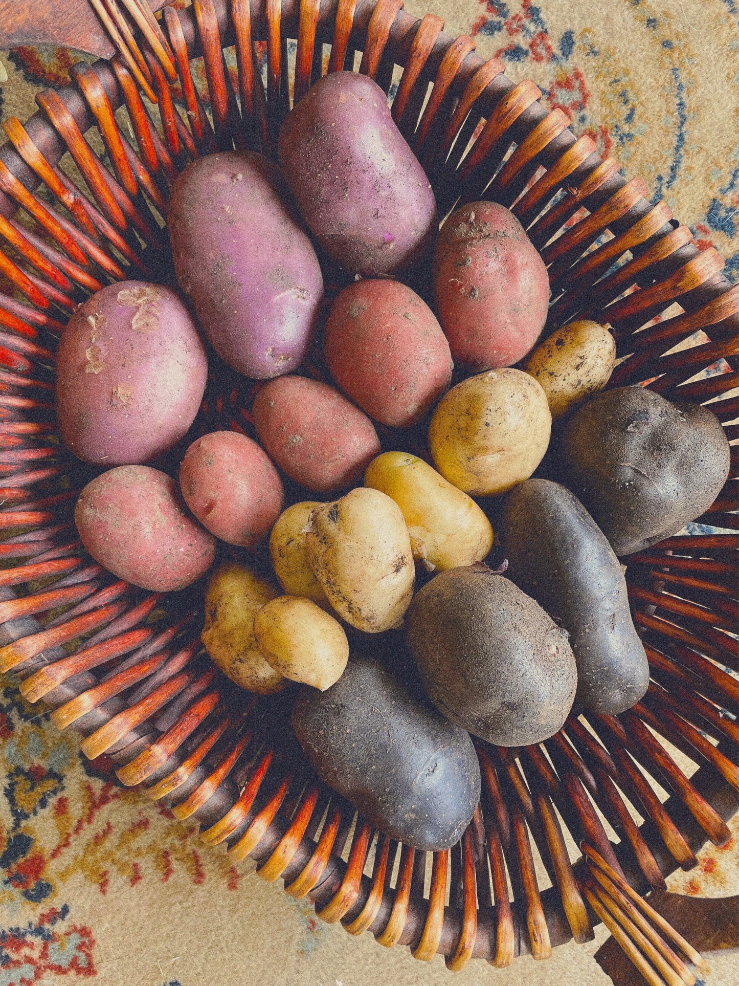 Organic potato medley (2kg)