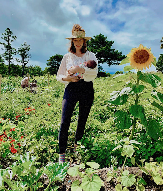 organic vegetables / little farms