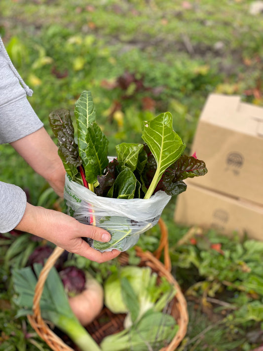 organic vegetables / little farms