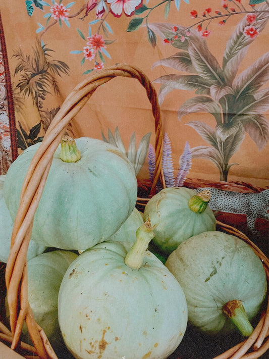 Organic Crown Pumpkin (2-3kg)