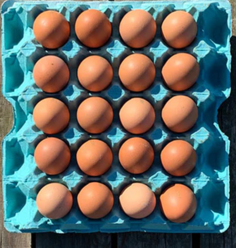 Free range eggs (20pk)
