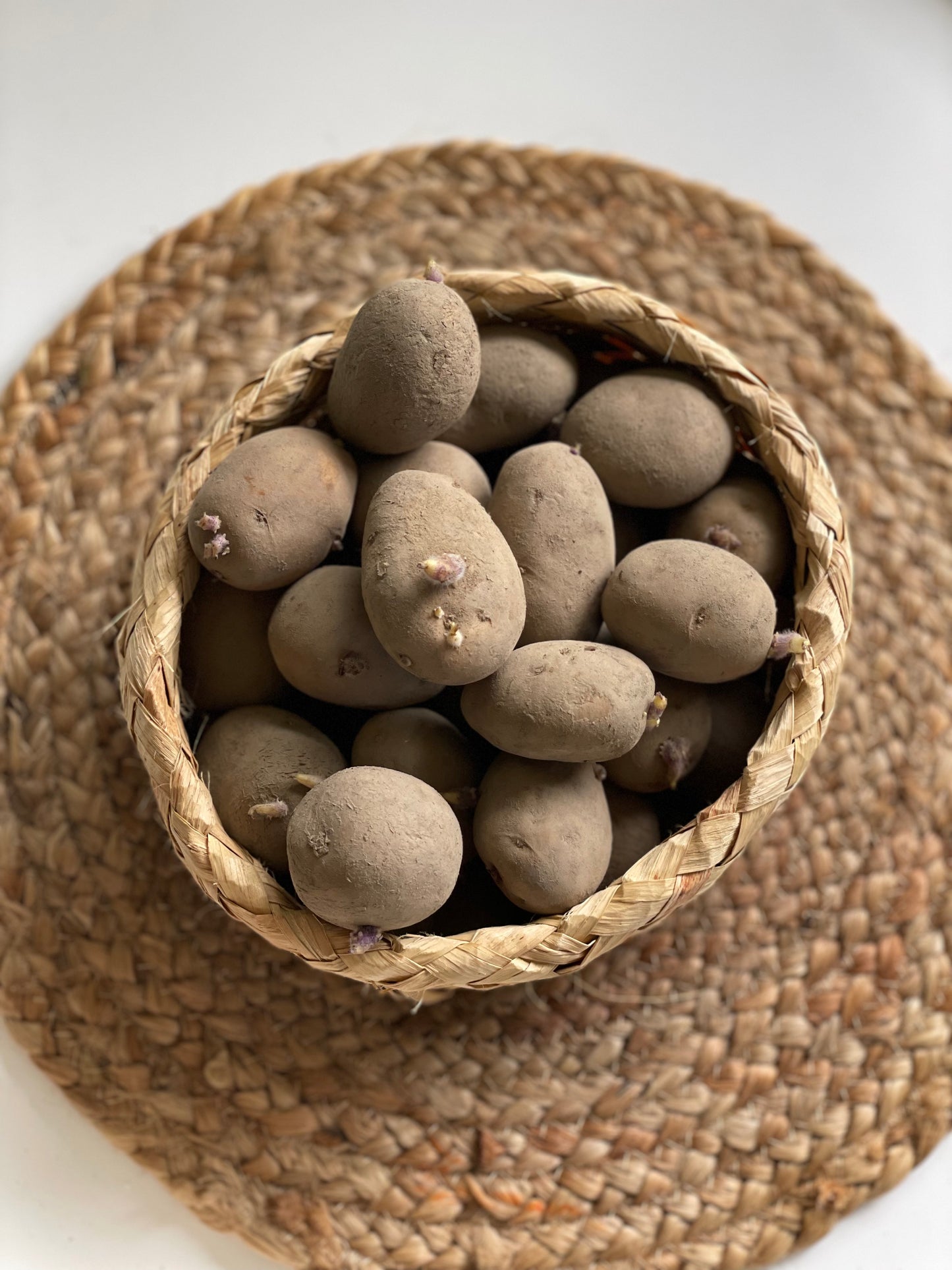 Agria Seed Potato (1kg)
